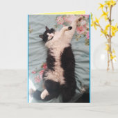 Tuxedo Cat Niedlich Funny Spaß Schlafkatze Karte (Gelbe Blume)