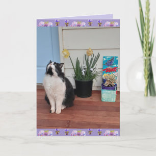 Tuxedo Cat Niedlich Funny Thinking You Liebe Card Karte