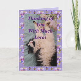 Tuxedo Cat Niedlich Funny Thinking You Liebe Card Karte