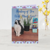 Tuxedo Cat Niedlich Funny Thinking You Liebe Card Karte (Gelbe Blume)