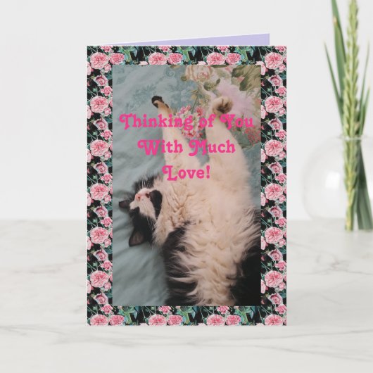 Tuxedo Cat Niedlich Funny Thinking You Liebe Card Karte (Vorderseite)