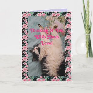 Tuxedo Cat Niedlich Funny Thinking You Liebe Card Karte