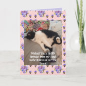 Tuxedo Cat Niedlich Happy Birthday Toboans Card Karte (Vorderseite)