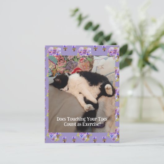 Tuxedo Cat Niedlich Happy Birthday Touching Toches Postkarte (Stehend Vorderseite)