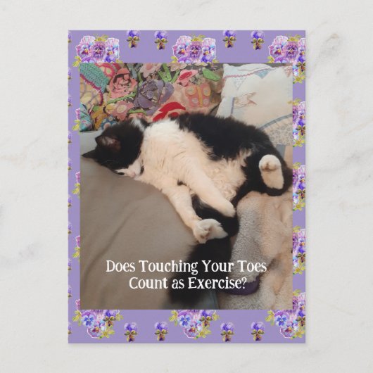 Tuxedo Cat Niedlich Happy Birthday Touching Toches Postkarte (Vorderseite)
