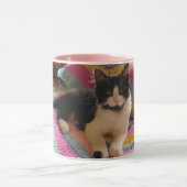 Tuxedo Cat Niedlich mit Hübschen Crochet Rug Viele Tasse (Zentrum)