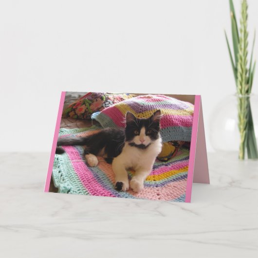 Tuxedo Cat Niedlich Schlafen auf Crochet Rug Katze Karte (Vorderseite)