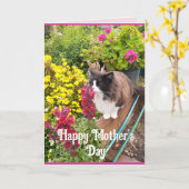 Tuxedo Cat Niffen Blume Kindertageskarte Karte (Gelbe Blume)