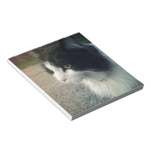 Tuxedo Cat Notizblock (angewinkelt)