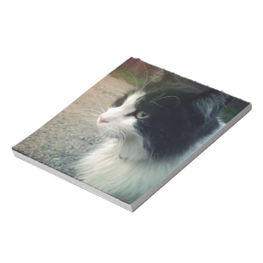 Tuxedo Cat Notizblock (Rotiert)