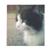 Tuxedo Cat Notizblock (Vorderseite)