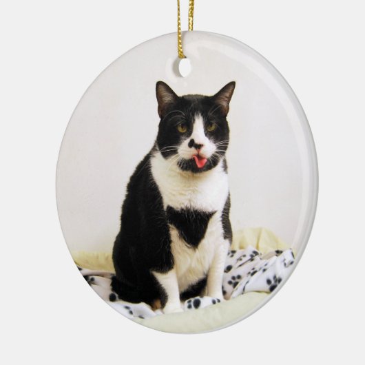 Tuxedo Cat Ornament (Links)