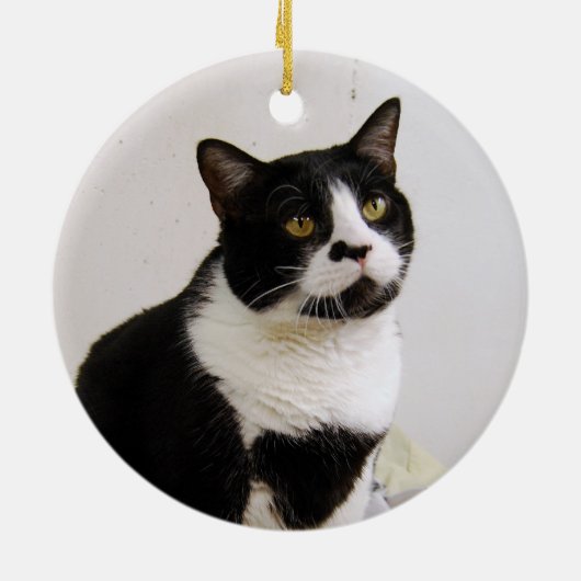 Tuxedo Cat Ornament (Hinten)