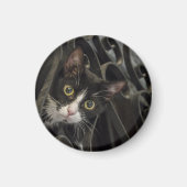 Tuxedo Cat Peak durch Schmiedeeiserzaun Magnet (Vorne)