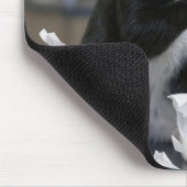 Tuxedo Cat Playing with a Tissue Box Mousepad (Ecke)
