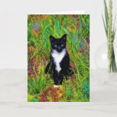 Tuxedo Cat Pop Art Note Card Karte (Vorderseite)