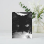 TUXEDO CAT POSTCARDS POSTKARTE (Stehend Vorderseite)