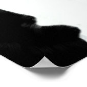 Tuxedo Cat Poster (Ecke)