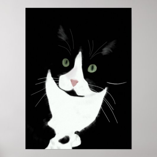 Tuxedo Cat Poster (Vorne)