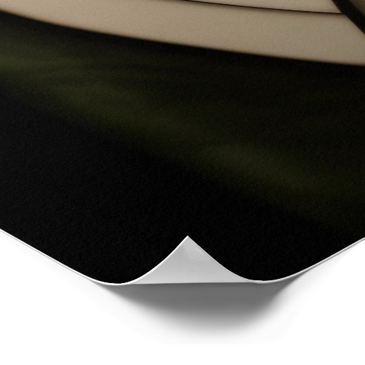 Tuxedo Cat Poster (Ecke)