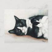 "Tuxedo Cat" Postkarte (Vorderseite)