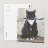 Tuxedo Cat Postkarte (Vorne/Hinten)