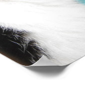 Tuxedo Cat Profil auf Aquamarin Poster (Ecke)