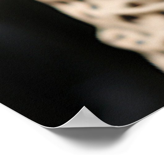 Tuxedo Cat Roar Cheetah Print Anzug Poster (Ecke)