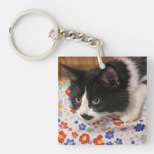 Tuxedo Cat Schlüsselanhänger (Vorderseite)