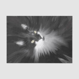 Tuxedo Cat Seidenpapier