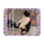 Tuxedo Cat Sleeping Funny Zitat Katzen Magnet (Horizontal)