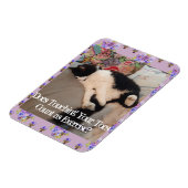Tuxedo Cat Sleeping Funny Zitat Katzen Magnet (Linke Seite)