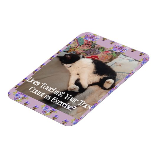 Tuxedo Cat Sleeping Funny Zitat Katzen Magnet (Linke Seite)