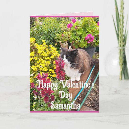 Tuxedo Cat Sniffing Flowers Funny Valentines Day Karte (Vorderseite)