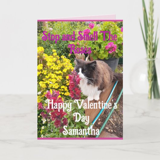 Tuxedo Cat Sniffing Flowers Funny Valentines Day Karte (Vorderseite)