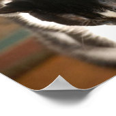 Tuxedo Cat Spaß Poster (Ecke)