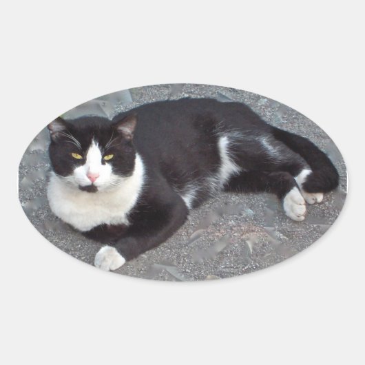 Tuxedo Cat Sticker (Vorderseite)