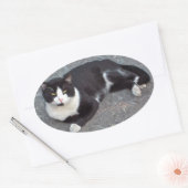 Tuxedo Cat Sticker (Umschlag)