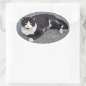 Tuxedo Cat Sticker (Tasche)