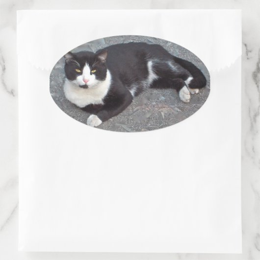 Tuxedo Cat Sticker (Tasche)