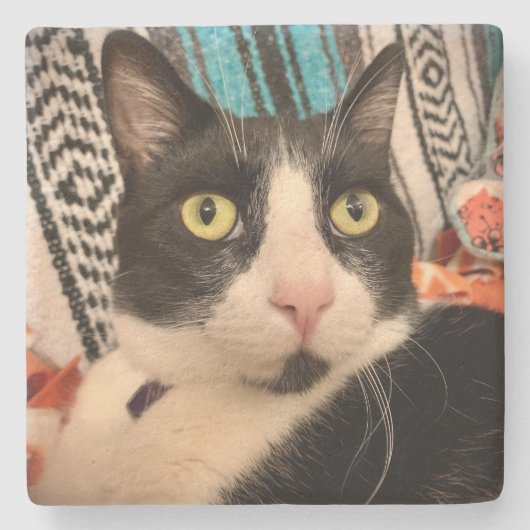 Tuxedo Cat Stone Untersetzer (Vorderseite)