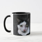 Tuxedo Cat Tasse (Links)