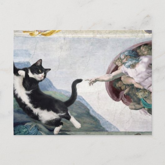 Tuxedo Cat Touching the Divine Paw                 Postkarte (Vorderseite)