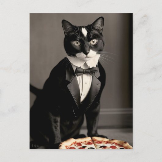 Tuxedo Cat und Pizza Postkarte (Vorderseite)