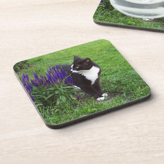 Tuxedo Cat Untersetzer (Linke Seite)