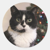 Tuxedo Cat Weihnachtsaufkleber Runder Aufkleber (Vorderseite)