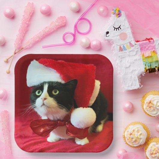 Tuxedo Cat Weihnachtsfeiertage Teller (Party)