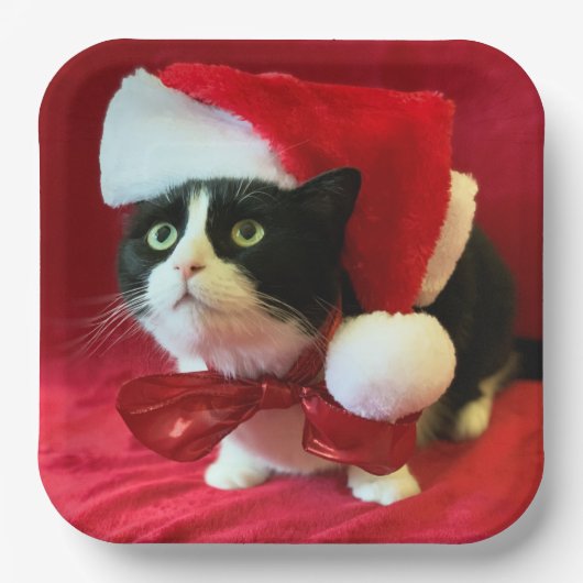 Tuxedo Cat Weihnachtsfeiertage Teller (Vorderseite)