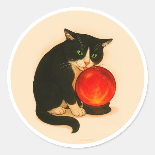 Tuxedo cat with red crystal ball runder aufkleber (Vorderseite)