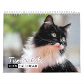 Tuxedo Cats Foto Wall Calendar Kalender (Titelbild)